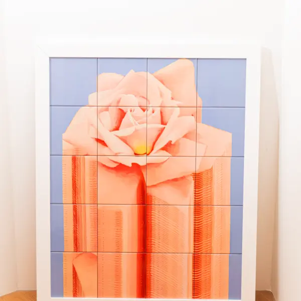 Decorative Wall Frame – Style C