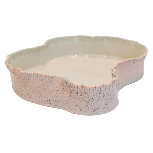 Wide Shallow Bowl