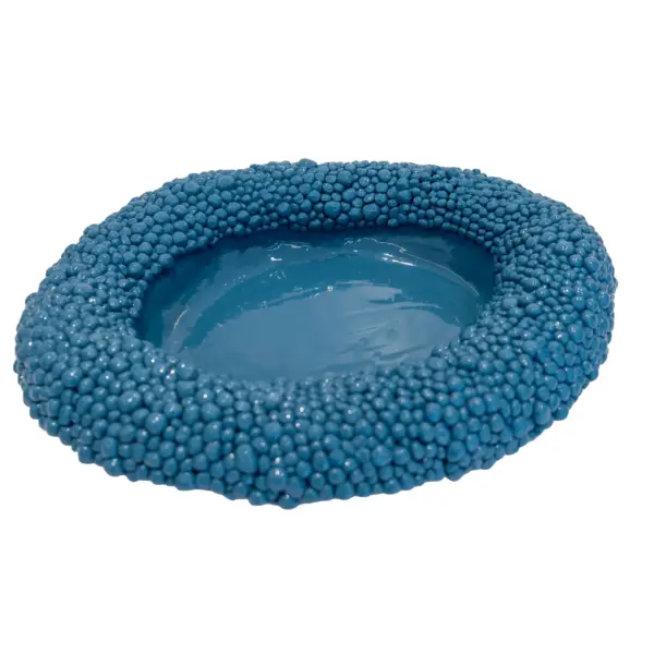 Large Oval Serving Plate